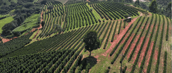 Fazenda Sant’Ana