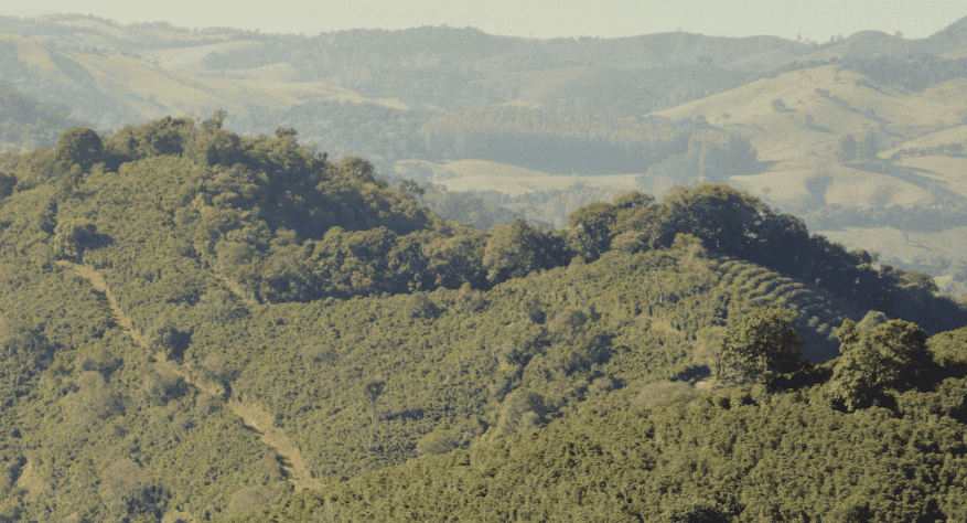 Cuidar da terra é cuidar daquilo que permanece.