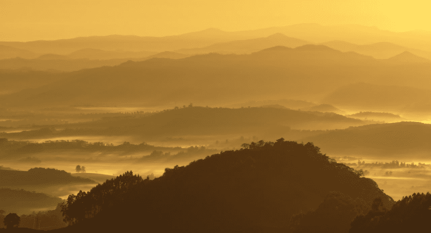 Meio Ambiente.
O futuro das origens
começa pela terra.