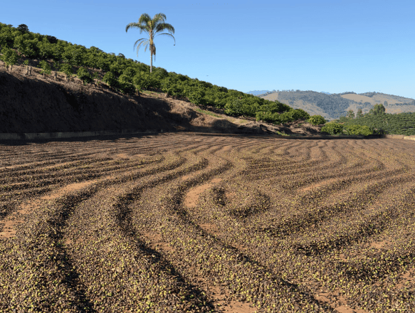 Fazenda Sant’Ana