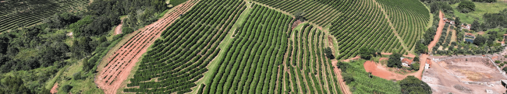 Fazenda Sant’Ana