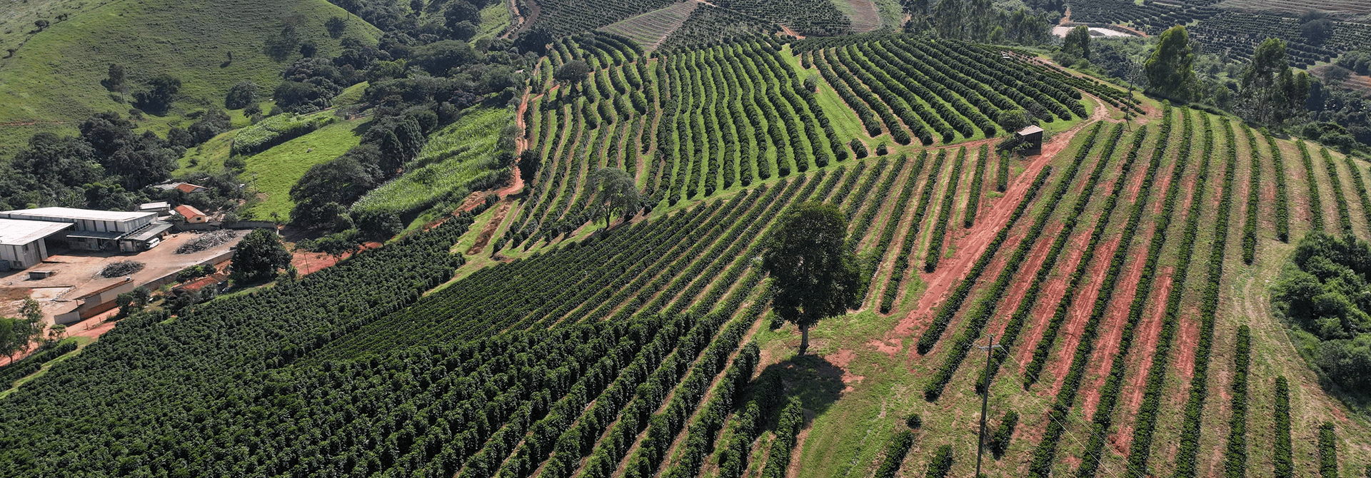 Fazenda Sant’Ana